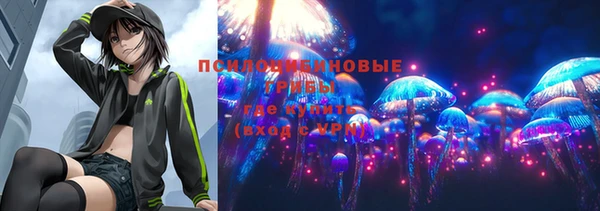 мескалин Алексин