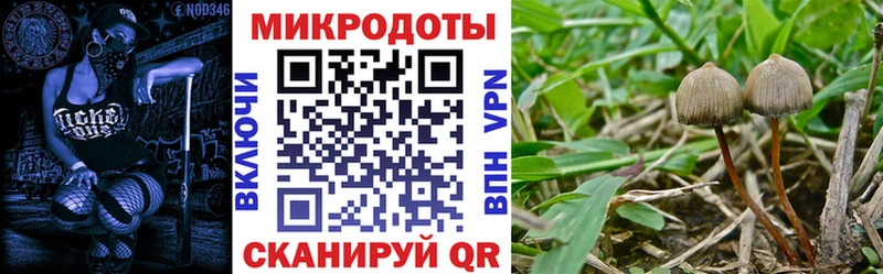 Псилоцибиновые грибы MAGIC MUSHROOMS  наркотики  Кизел 